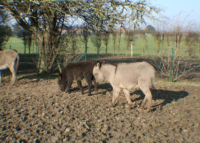 Le Relais De Charlinette Bed & Breakfast 3*